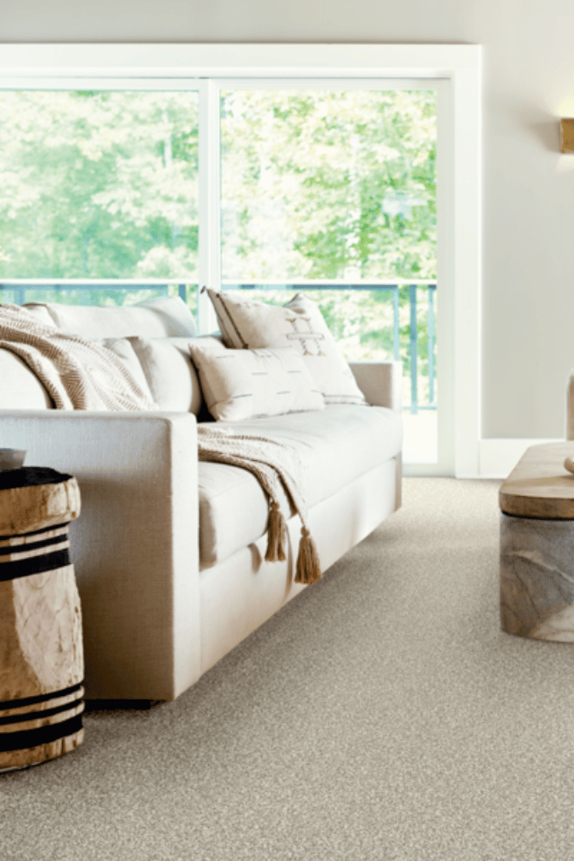 beige carpet in living room with neutral toned accents and couch